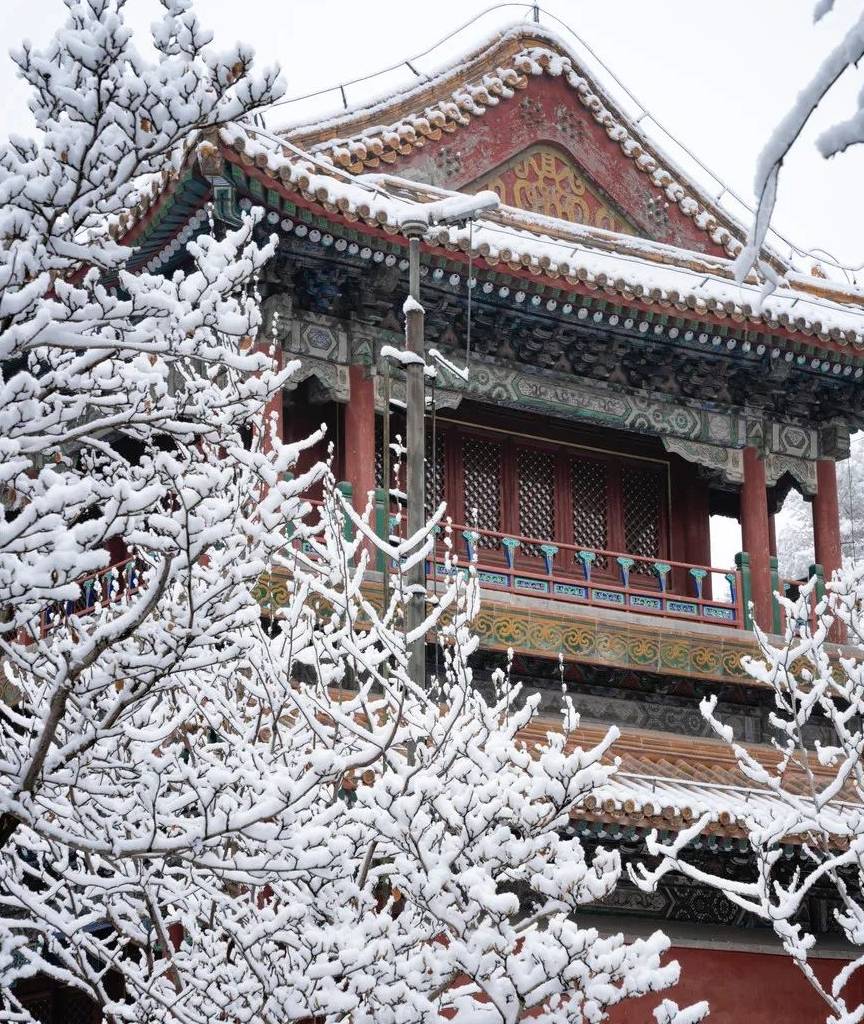 原创 大雪过后,我建议你一定去北京看看7