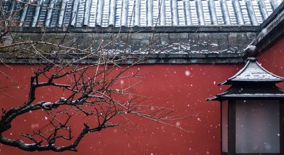 原创 大雪过后,我建议你一定去北京看看9