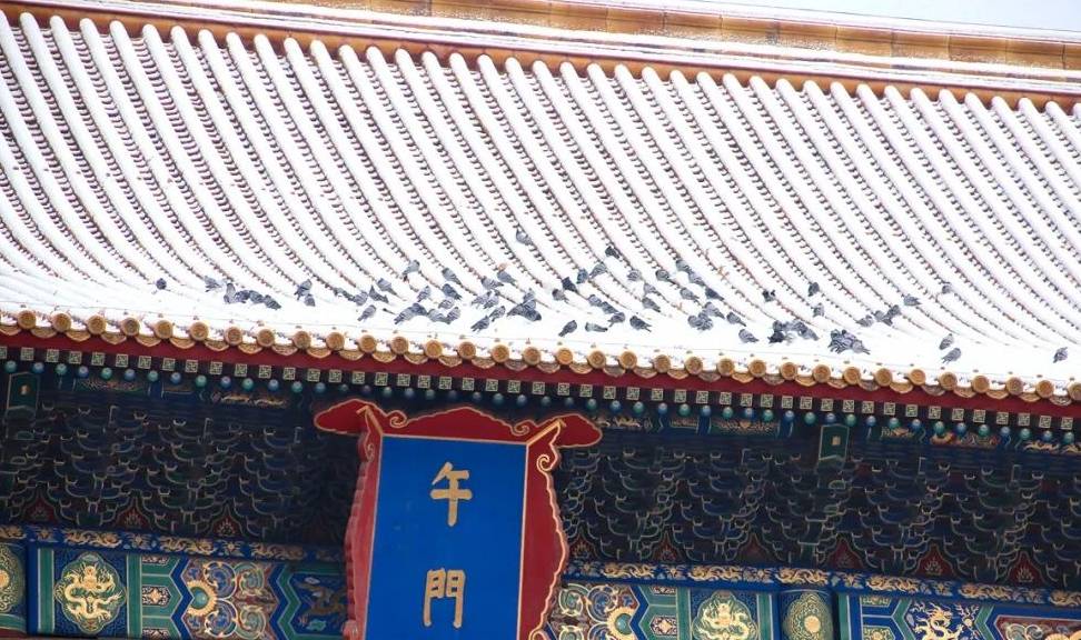 原创 大雪过后,我建议你一定去北京看看13