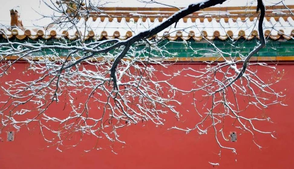 原创 大雪过后,我建议你一定去北京看看14