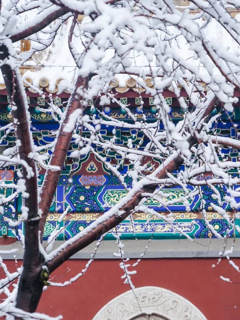 原创 大雪过后,我建议你一定去北京看看16