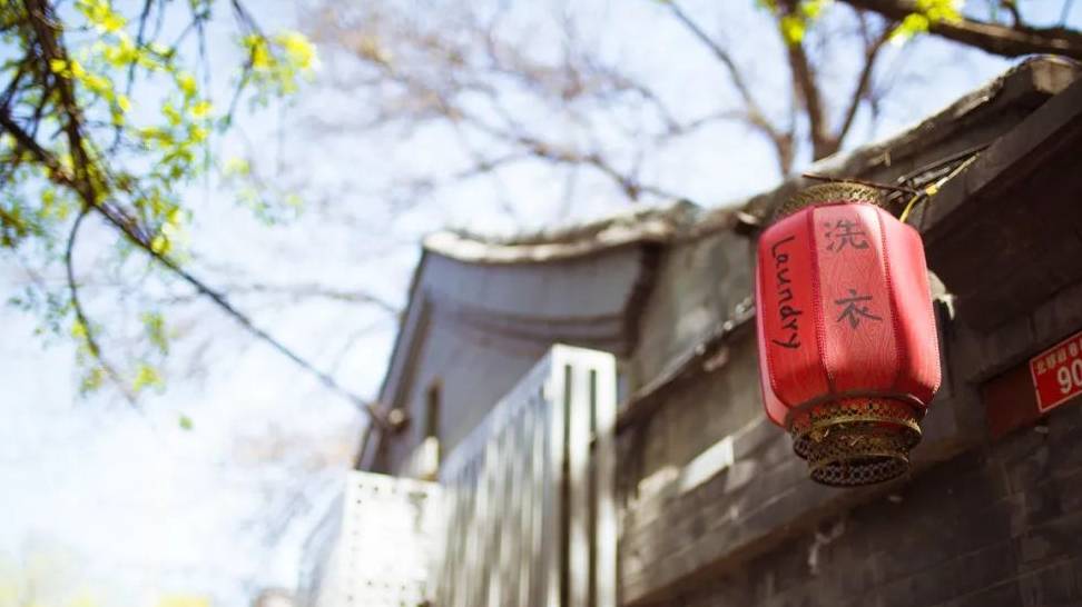 原创 大雪过后,我建议你一定去北京看看19