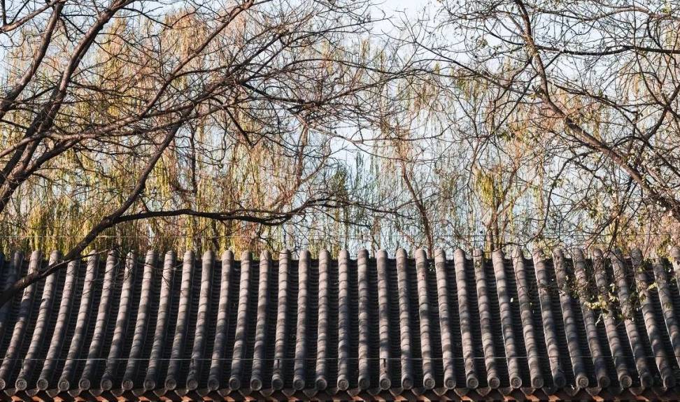 原创 大雪过后,我建议你一定去北京看看31