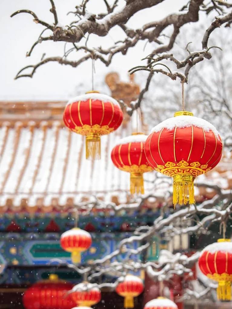 原创 大雪过后,我建议你一定去北京看看35