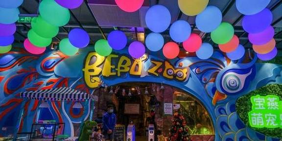 原创 上海冬天这么玩!宝燕乐园旗舰店亲子冬日玩水攻略10