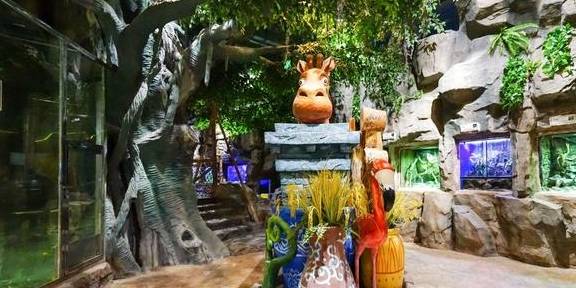 原创 上海冬天这么玩!宝燕乐园旗舰店亲子冬日玩水攻略15