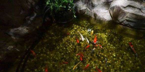 原创 上海冬天这么玩!宝燕乐园旗舰店亲子冬日玩水攻略17