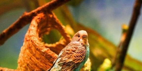 原创 上海冬天这么玩!宝燕乐园旗舰店亲子冬日玩水攻略19