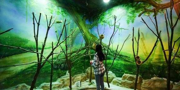 原创 上海冬天这么玩!宝燕乐园旗舰店亲子冬日玩水攻略20