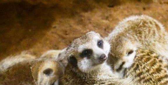 原创 上海冬天这么玩!宝燕乐园旗舰店亲子冬日玩水攻略21