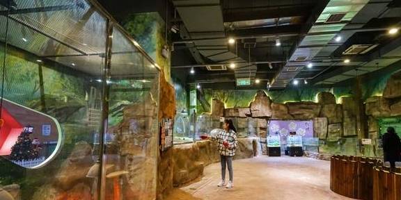 原创 上海冬天这么玩!宝燕乐园旗舰店亲子冬日玩水攻略22