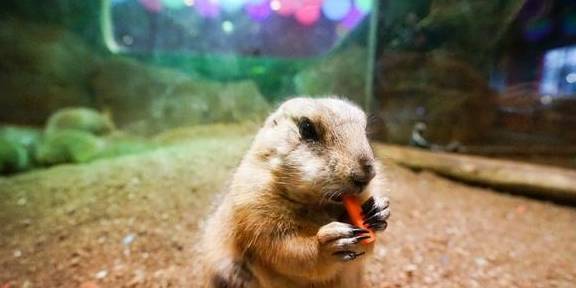 原创 上海冬天这么玩!宝燕乐园旗舰店亲子冬日玩水攻略24