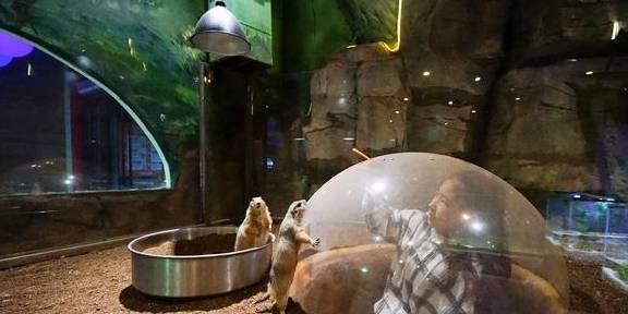 原创 上海冬天这么玩!宝燕乐园旗舰店亲子冬日玩水攻略25