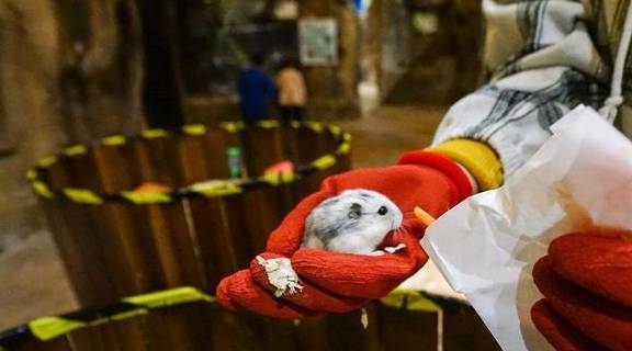 原创 上海冬天这么玩!宝燕乐园旗舰店亲子冬日玩水攻略27