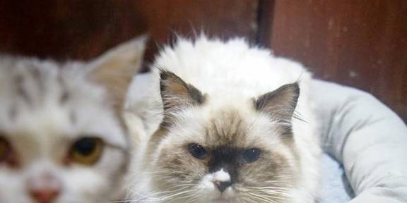 原创 上海冬天这么玩!宝燕乐园旗舰店亲子冬日玩水攻略28