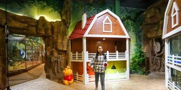 原创 上海冬天这么玩!宝燕乐园旗舰店亲子冬日玩水攻略29