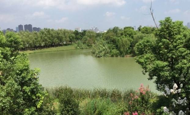 原创 江西一巨型公园走红，耗资3亿门票却免费，被称“天然绿肺”3