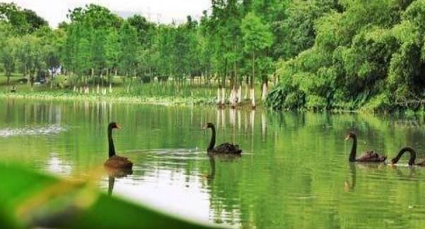 原创 江西一巨型公园走红，耗资3亿门票却免费，被称“天然绿肺”4