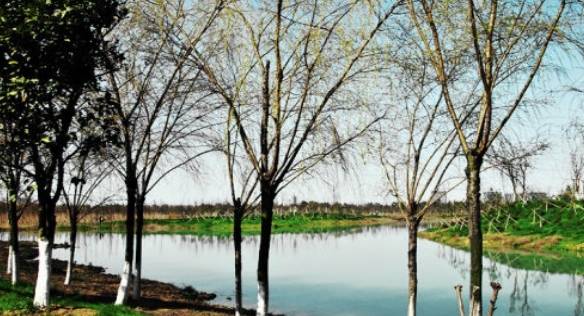 原创 江西一巨型公园走红，耗资3亿门票却免费，被称“天然绿肺”5