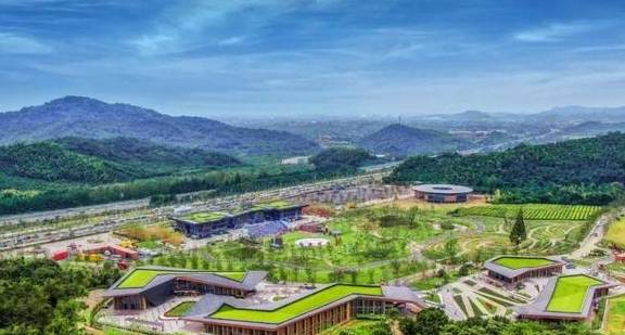 原创 比莫干山好玩,新发现耗资十亿的宝藏地,茶园野奢帐篷屋不输南非1