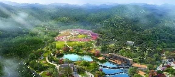 原创 比莫干山好玩,新发现耗资十亿的宝藏地,茶园野奢帐篷屋不输南非2