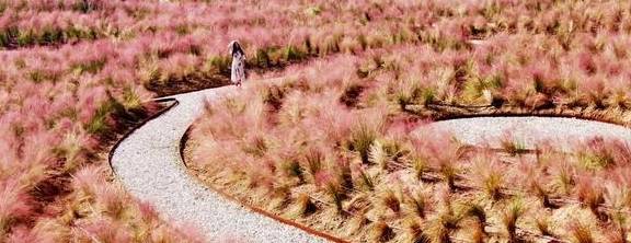 原创 比莫干山好玩,新发现耗资十亿的宝藏地,茶园野奢帐篷屋不输南非3