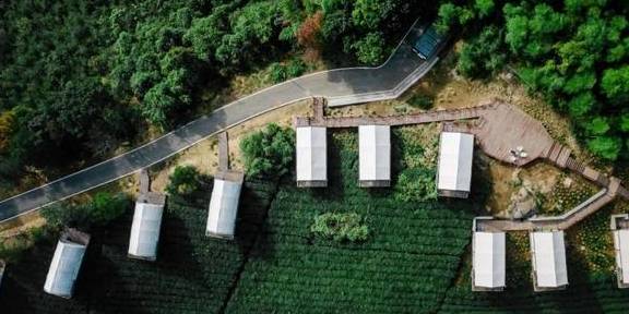 原创 比莫干山好玩,新发现耗资十亿的宝藏地,茶园野奢帐篷屋不输南非5