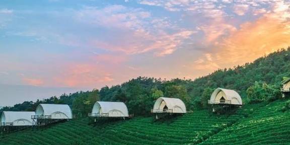 原创 比莫干山好玩,新发现耗资十亿的宝藏地,茶园野奢帐篷屋不输南非6