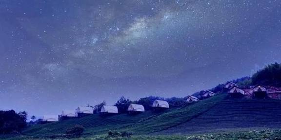原创 比莫干山好玩,新发现耗资十亿的宝藏地,茶园野奢帐篷屋不输南非7