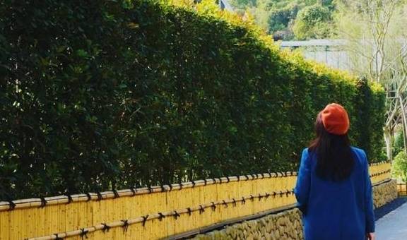 原创 比莫干山好玩,新发现耗资十亿的宝藏地,茶园野奢帐篷屋不输南非8