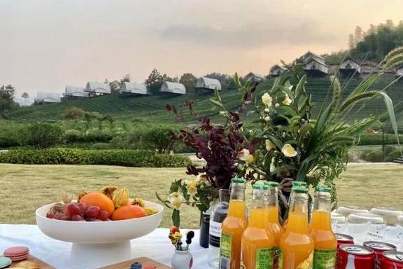 原创 比莫干山好玩,新发现耗资十亿的宝藏地,茶园野奢帐篷屋不输南非17