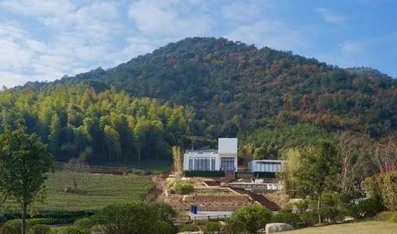 原创 比莫干山好玩,新发现耗资十亿的宝藏地,茶园野奢帐篷屋不输南非9