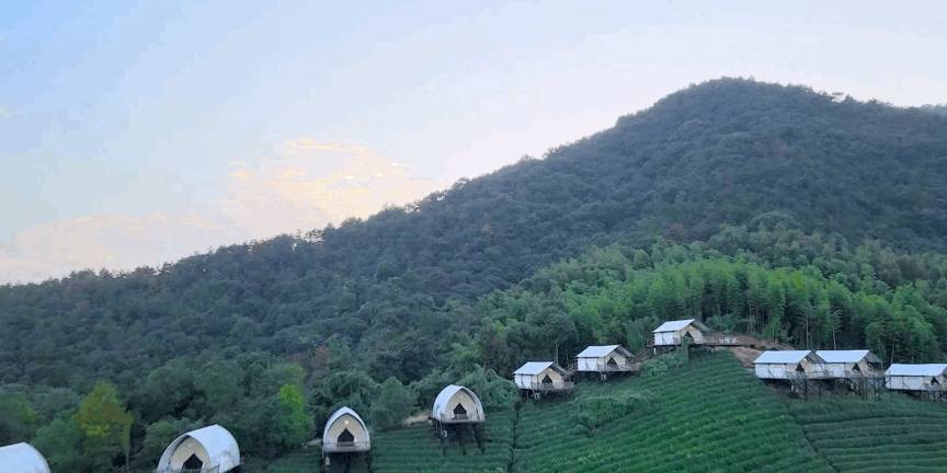 原创 比莫干山好玩,新发现耗资十亿的宝藏地,茶园野奢帐篷屋不输南非19
