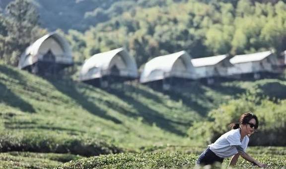原创 比莫干山好玩,新发现耗资十亿的宝藏地,茶园野奢帐篷屋不输南非27