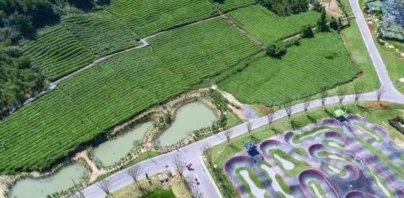 原创 比莫干山好玩,新发现耗资十亿的宝藏地,茶园野奢帐篷屋不输南非33