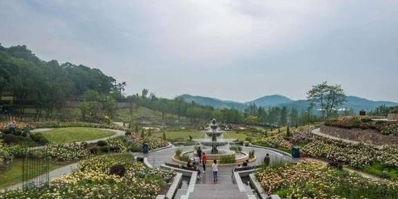 原创 比莫干山好玩,新发现耗资十亿的宝藏地,茶园野奢帐篷屋不输南非34