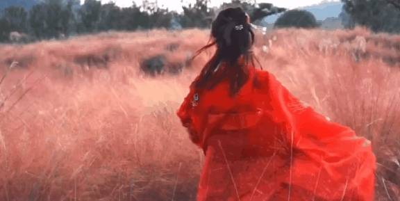 原创 比莫干山好玩,新发现耗资十亿的宝藏地,茶园野奢帐篷屋不输南非36