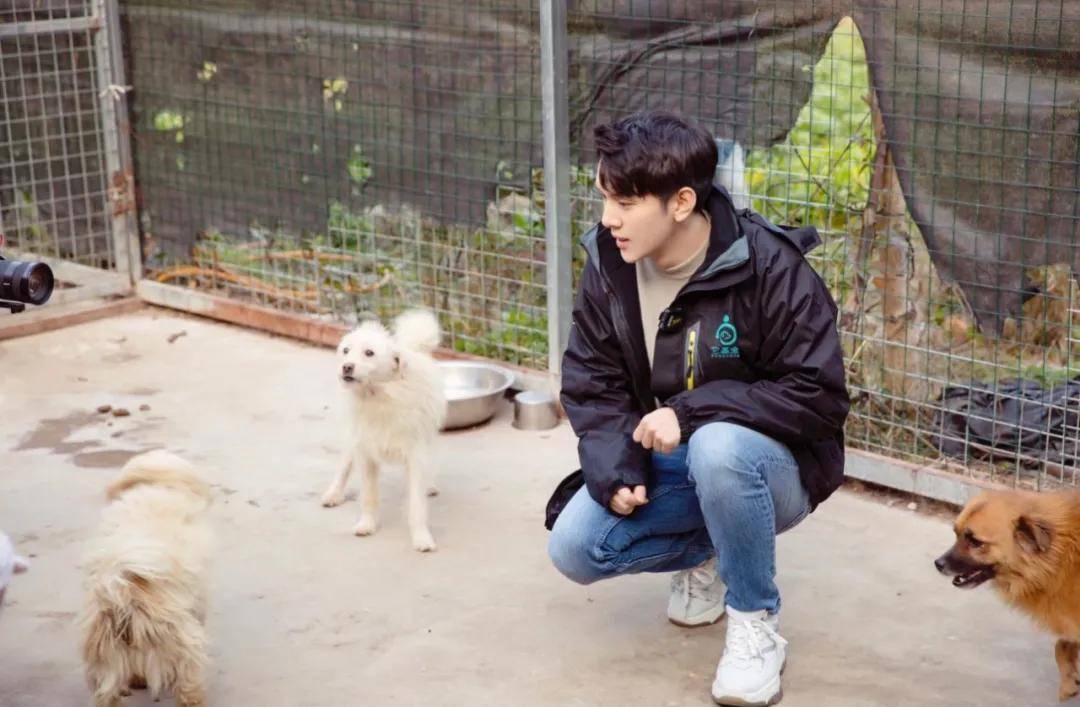 原创 如何让李佳琦免费带货?4