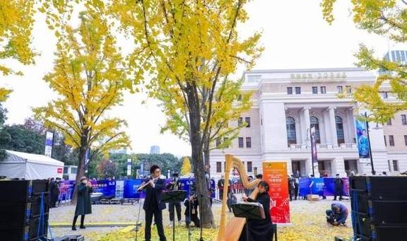 原创 美爆了！银杏最佳观赏期已至，黄浦这几处“金光大道”等你来打卡4