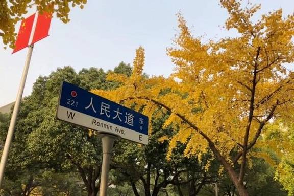 原创 美爆了！银杏最佳观赏期已至，黄浦这几处“金光大道”等你来打卡6