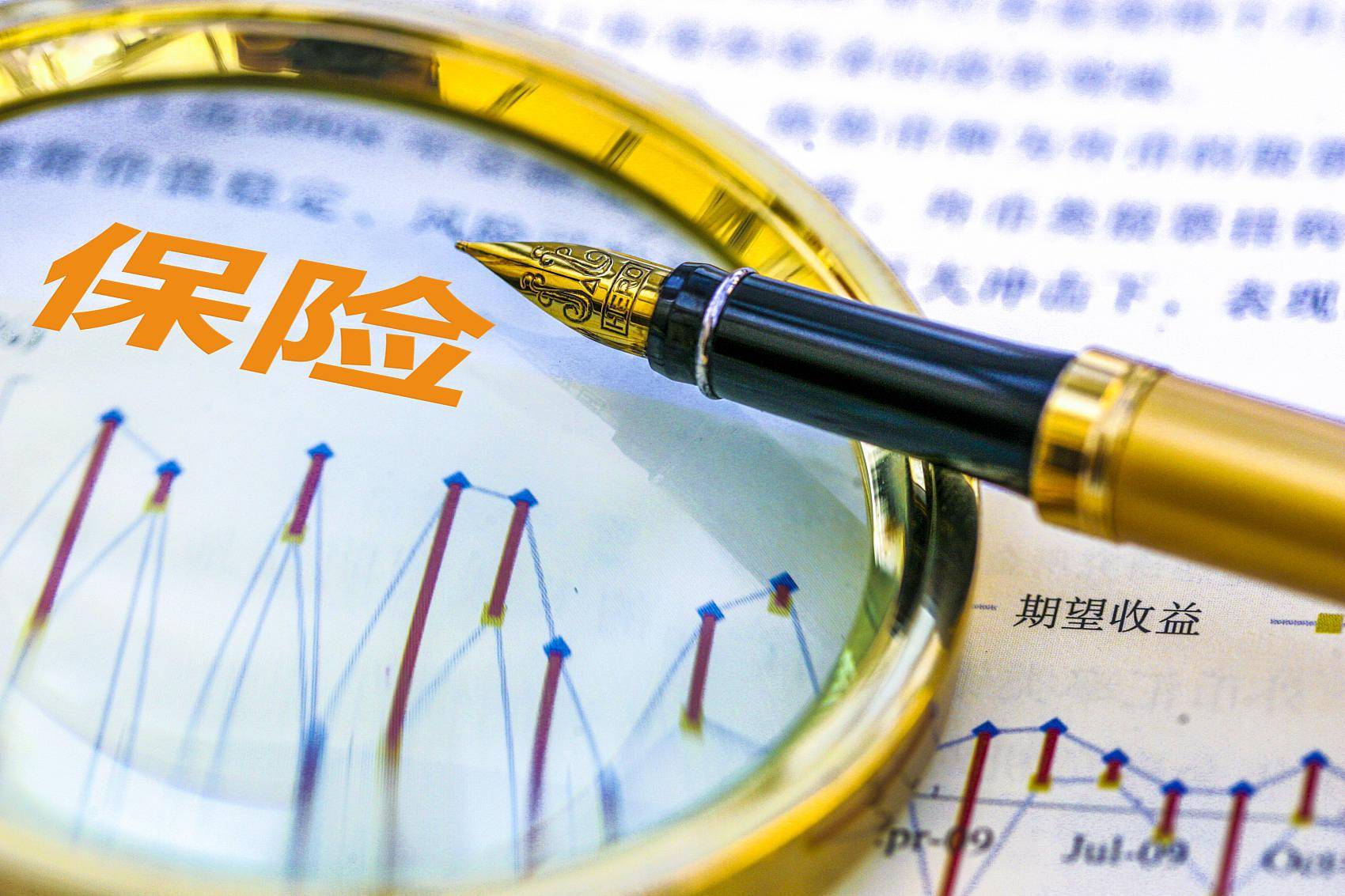 国任保险换帅,冲刺百亿俱乐部,二股东密集布阵资本版图2