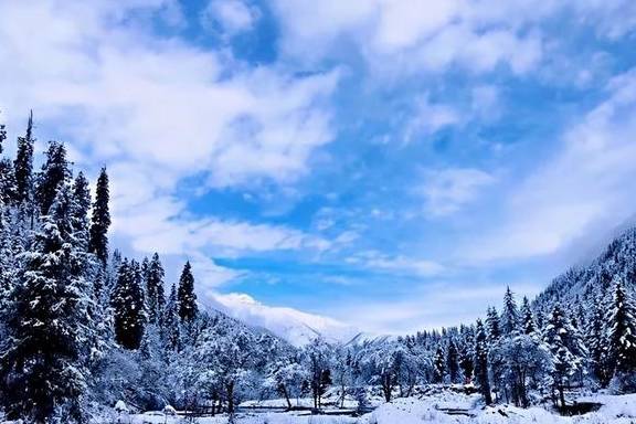 原创 理县除了毕棚沟、鹧鸪山,还有啥好玩的景点1