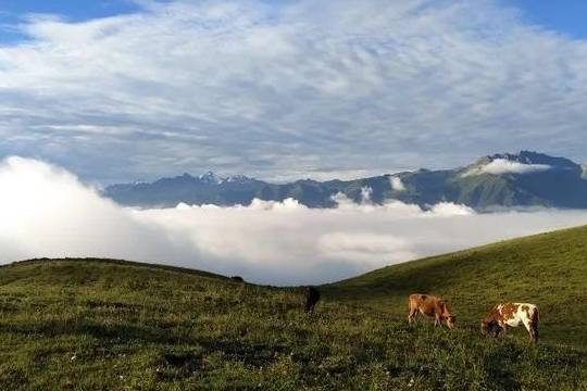 原创 理县除了毕棚沟、鹧鸪山,还有啥好玩的景点14