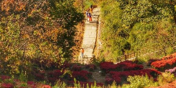 原创 眼前最热门旅游地,当然是江西婺源篁岭,但是人山人海有啥意思?13