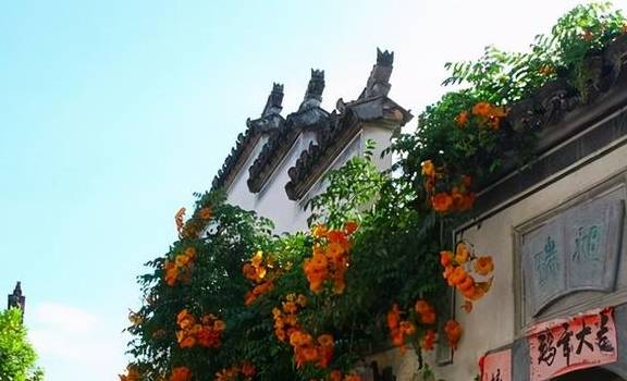 原创 安徽古村落,百年前的富贵人家就有了空调,不需要电就能凉快6