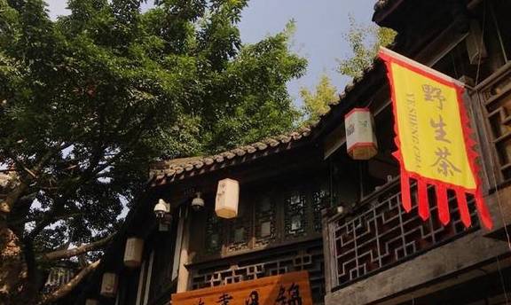 原创 我想去成都,尽管刚离开,我们吃茶吃火锅,释放疲劳及多余的情绪9