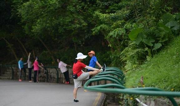 原创 澳门规模最大的公园,以植物命名,曾为军事禁区1