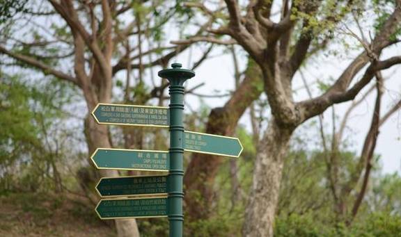 原创 澳门规模最大的公园,以植物命名,曾为军事禁区4