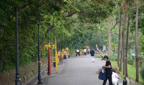 原创 澳门规模最大的公园,以植物命名,曾为军事禁区5