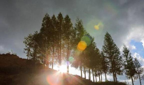 原创 周小柚坐车6小时只为解锁这个大山里的“五古”小村，真的太美了3